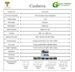 Canberra Carpet Tile - Image 2