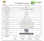 Candid Topaz Carpet Tile - Image 2