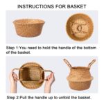 Artificial Bird of Paradise Plant, - Image 5