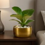 CINAGRO Metal Planter Pot for Indoor Plants