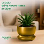 CINAGRO Metal Planter Pot for Indoor Plants - Image 3