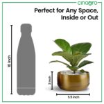 CINAGRO Metal Planter Pot for Indoor Plants - Image 4