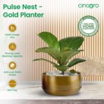 CINAGRO Metal Planter Pot for Indoor Plants - Image 5