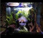 Marvel Avengers Infinity War Pot Groot Wooden Look - Image 6