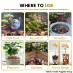 Natural Polish Mix Stone Pebbles - (900gm) Mix - Image 3