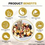 Natural Polish Mix Stone Pebbles - (900gm) Mix - Image 5