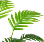 Plastic Fake Plants Artificial Floor Plants Large Tropical Palm Tree - Image 4