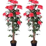 Red Roses with Leaves Artificial Tree Silk Plant.