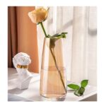 SPHINX Decorative Glass Vase for Flowers Plants - Image 3