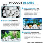 Foodie Puppies Polished White Pebbles Glossy Stones - 2Kg (2.5cm - 4cm) - Image 2