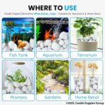 Foodie Puppies Polished White Pebbles Glossy Stones - 2Kg (2.5cm - 4cm) - Image 3