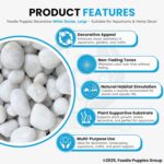 Foodie Puppies Polished White Pebbles Glossy Stones - 2Kg (2.5cm - 4cm) - Image 4