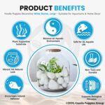 Foodie Puppies Polished White Pebbles Glossy Stones - 2Kg (2.5cm - 4cm) - Image 5