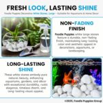 Foodie Puppies Polished White Pebbles Glossy Stones - 2Kg (2.5cm - 4cm) - Image 6