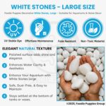 Foodie Puppies Polished White Pebbles Glossy Stones - 2Kg (2.5cm - 4cm) - Image 7